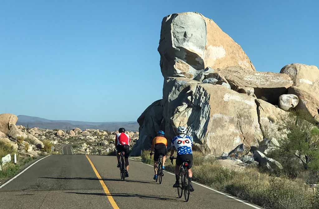 Gallery photo